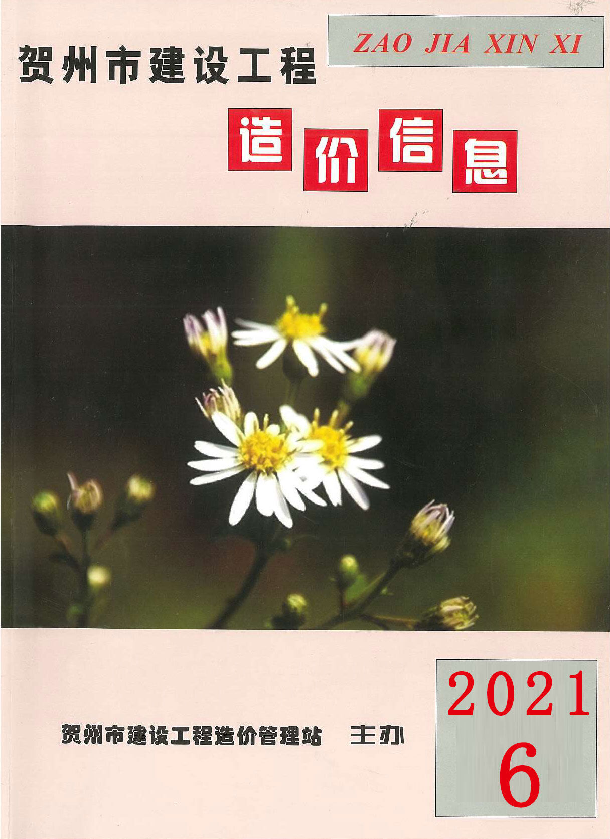 贺州市2021年6月造价信息期刊PDF扫描件
