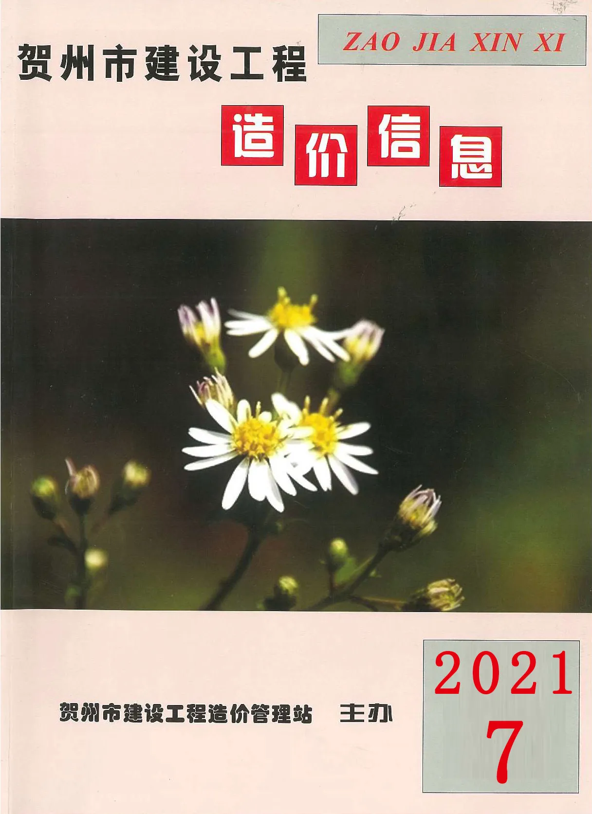 2021年贺州建设工程造价信息