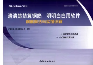 钢筋算法与实例详解封面